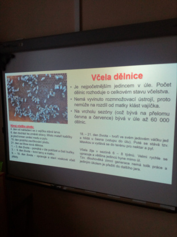 IMG_20210929_090324.jpg IMG_20210929_090324.jpg