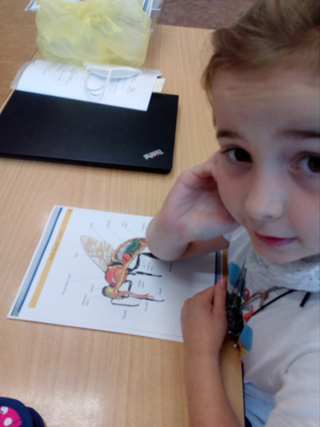 IMG_20210929_091214.jpg IMG_20210929_091214.jpg