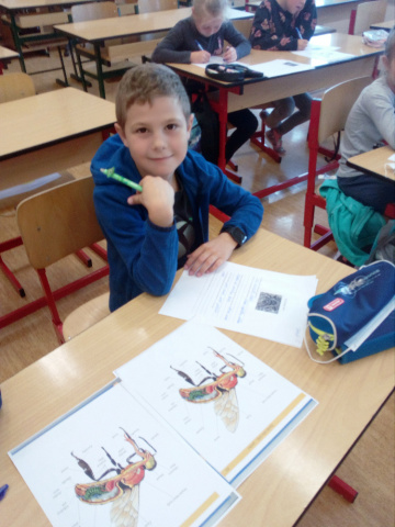 IMG_20210929_100133.jpg IMG_20210929_100133.jpg