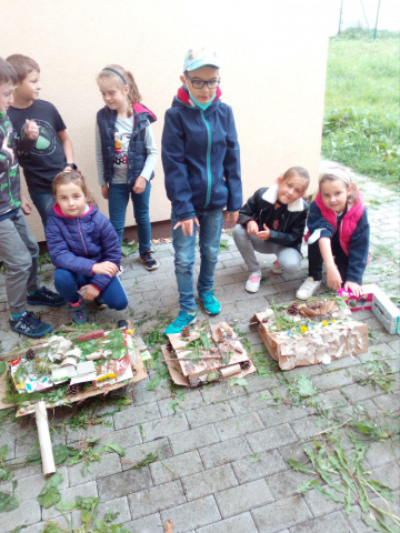 IMG_20210929_112627.jpg IMG_20210929_112627.jpg