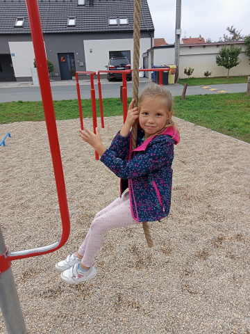 IMG20210929135638_00.jpg IMG20210929135638_00.jpg