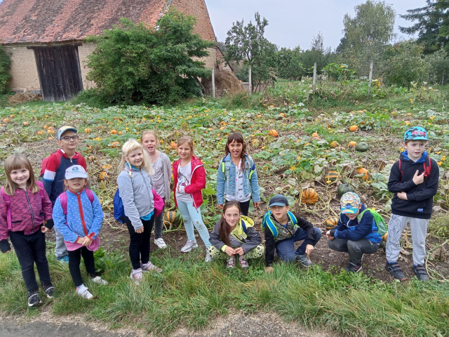 IMG20210929145644_00.jpg IMG20210929145644_00.jpg