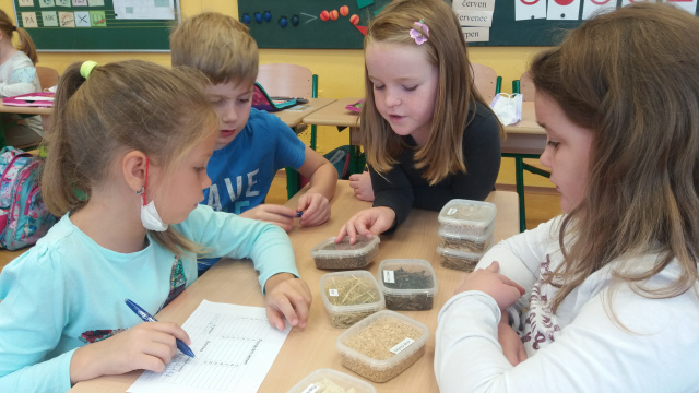 20210929_100114.jpg 20210929_100114.jpg