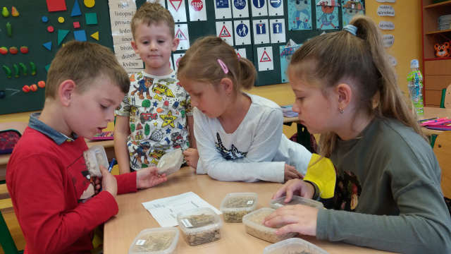 20210929_101024.jpg 20210929_101024.jpg